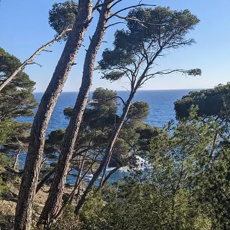 Studio Avec Garage Et A Pied - Plage, Port 公寓 锡富尔勒普拉日